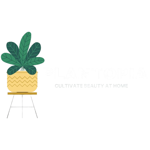 Plantopia